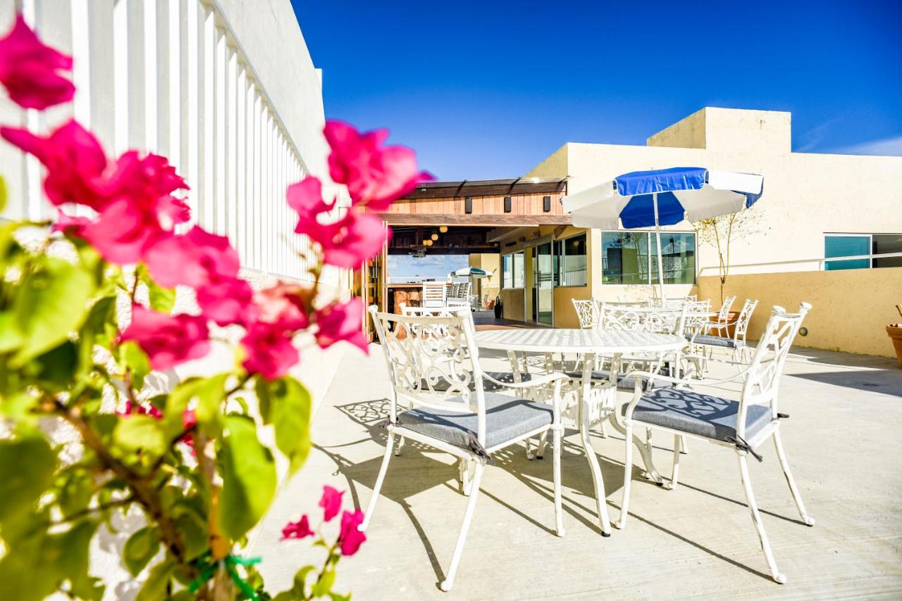 12 Bees Hotel