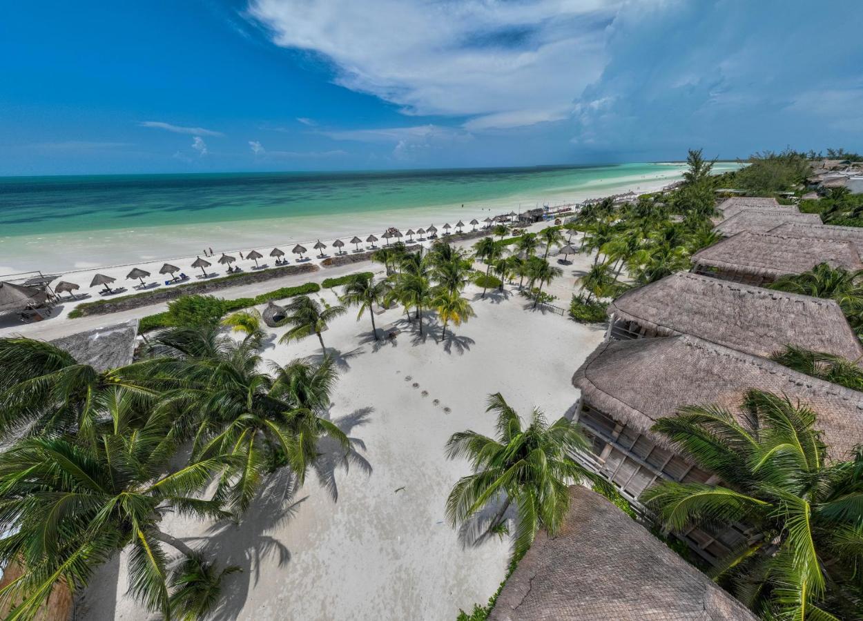 Blue Holbox Beach Front